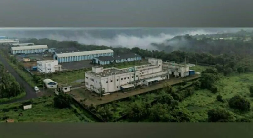 Türkiye, 2030’da 215 Milyon Dolarlık Saç Bakım Pazarına Liderlik Edecek